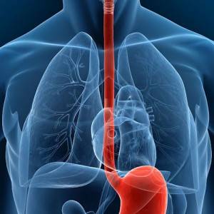 Cancer de l’œsophage : quelles sont les techniques opératoires? Est-ce une intervention lourde?