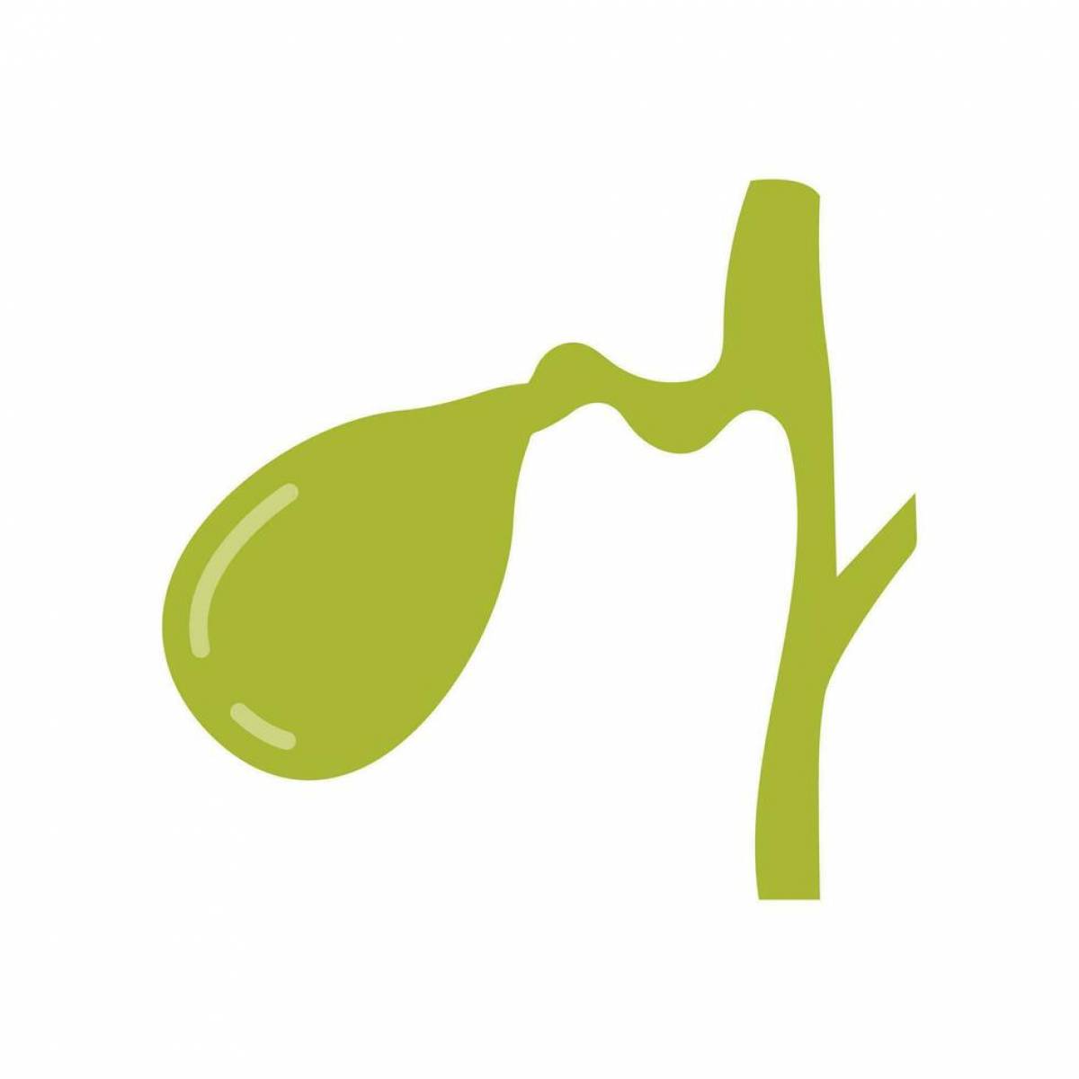 La Vie Sans Vésicule Biliaire : Adapter sa Digestion Après l'Opération. Des réponses grâce au cabinet de chirurgie du Prado à Marseille